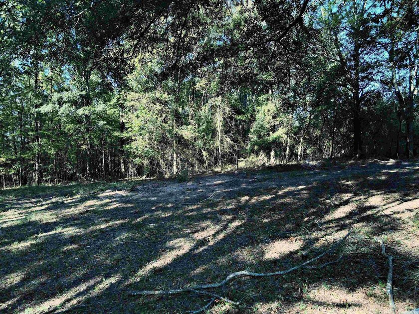CLOSE TO LAKE DEGRAY! Nice wooded acreage off Hwy 7. Just a hop - photo 13