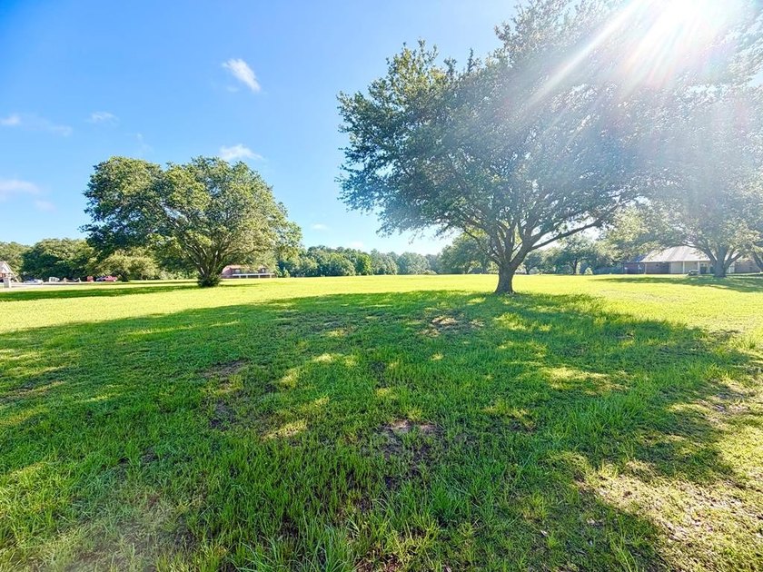 Beautiful 3.10-acre corner lot located at the corner of Shavon - photo 13