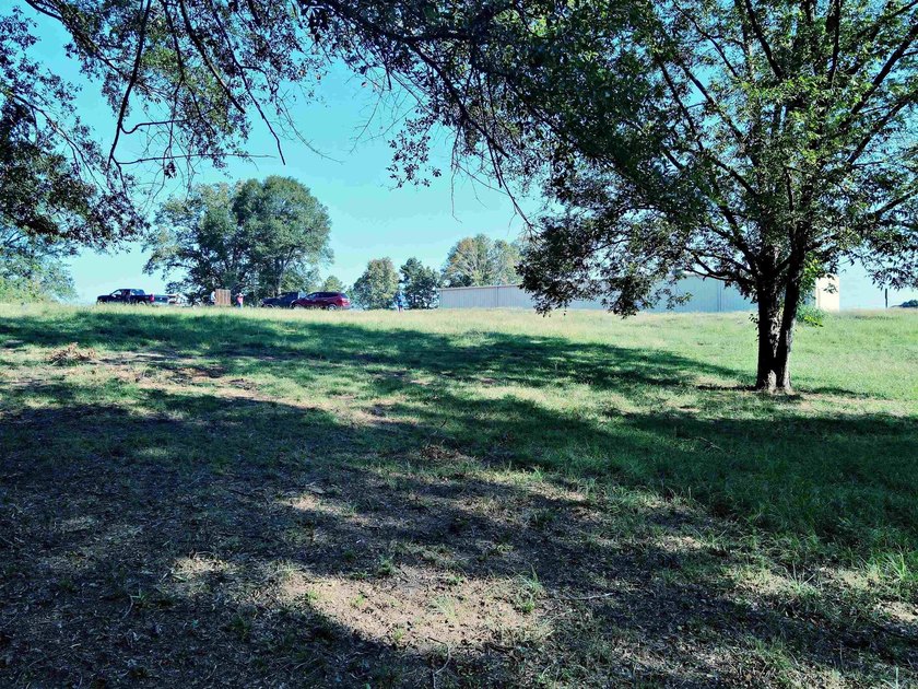 CLOSE TO LAKE DEGRAY! Nice wooded acreage off Hwy 7. Just a hop - photo 14