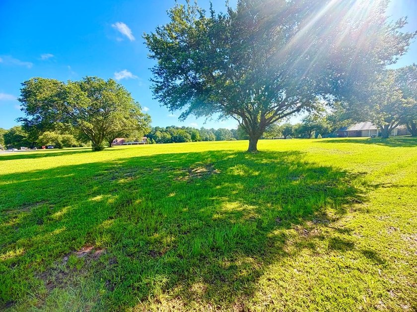 Beautiful 3.10-acre corner lot located at the corner of Shavon - photo 14