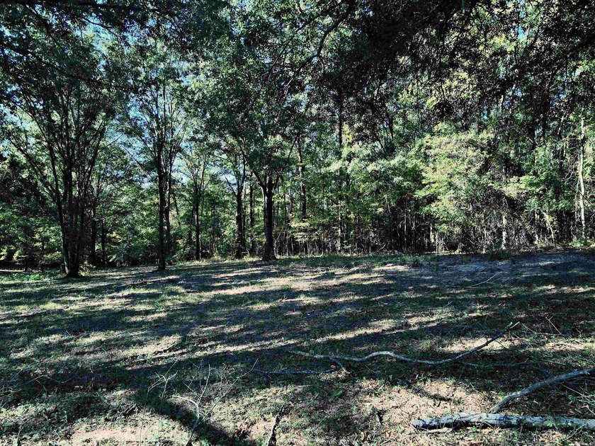 CLOSE TO LAKE DEGRAY! Nice wooded acreage off Hwy 7. Just a hop - photo 15