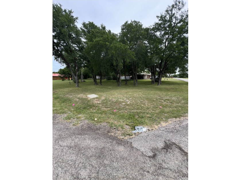 Perfect Corner lot with some nice trees located in Rock Harbor - photo 2