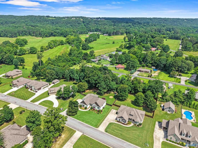 Stunning Sycamore Cove home inside Guntersville city limits - photo 29