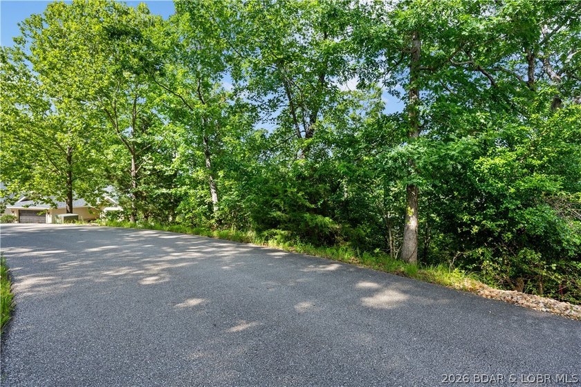 Discover this premier lakefront lot in the highly sought-after - photo 13