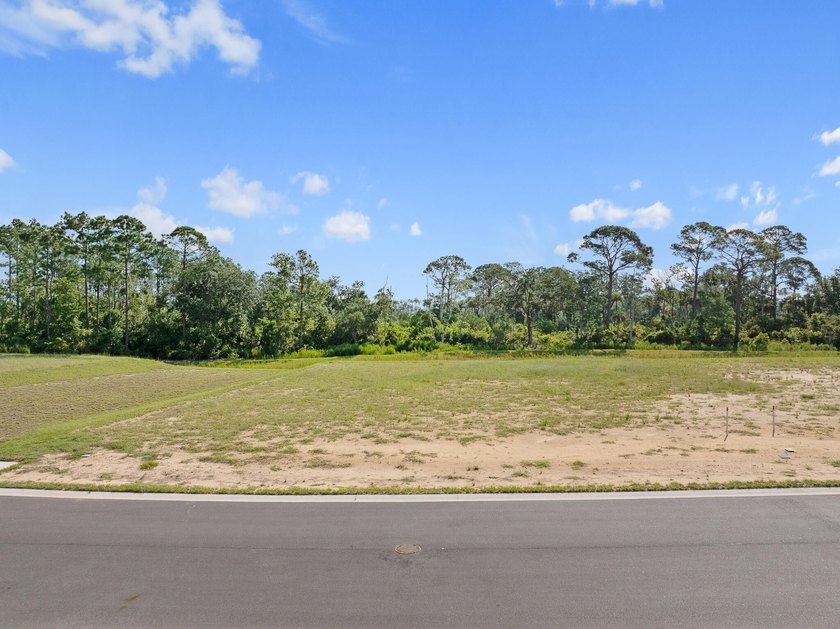 Discover Veranda Bay, Flagler Beach's premier gated waterfront - photo 15