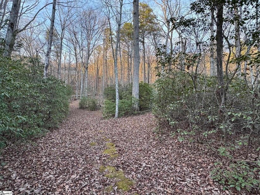 Privacy and solitude abound with this exceptional homesite in - photo 3