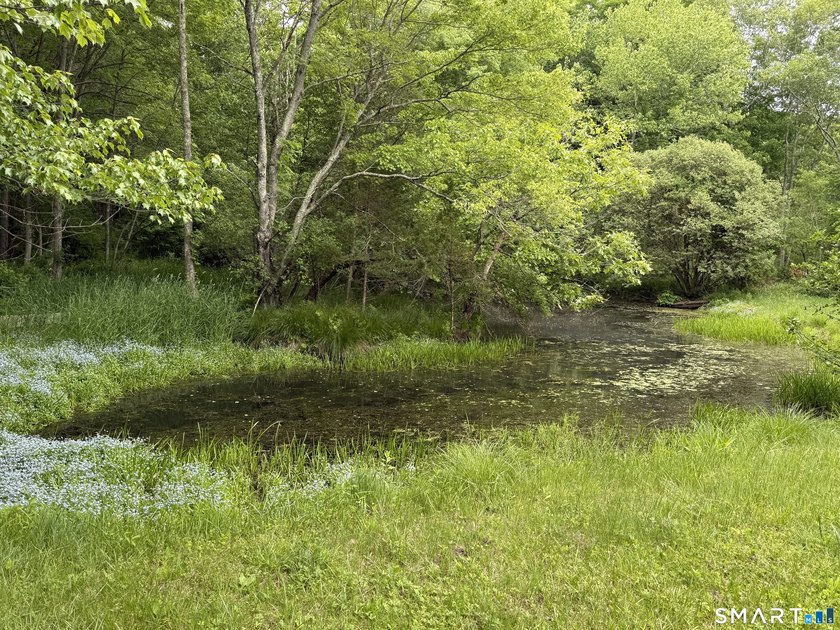 Welcome to this charming Raised Ranch nestled on a level - photo 4