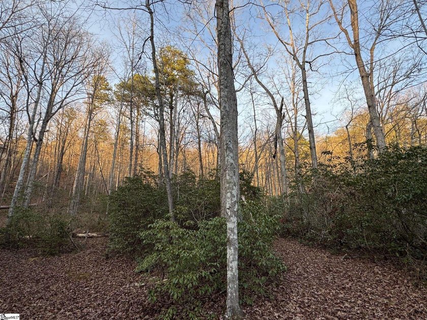 Privacy and solitude abound with this exceptional homesite in - photo 4
