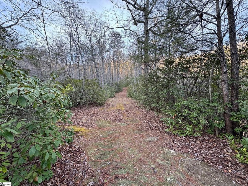 Privacy and solitude abound with this exceptional homesite in - photo 5