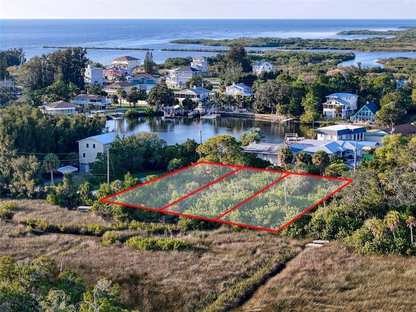 Bring your vision to life on this undeveloped lot in the - photo 4