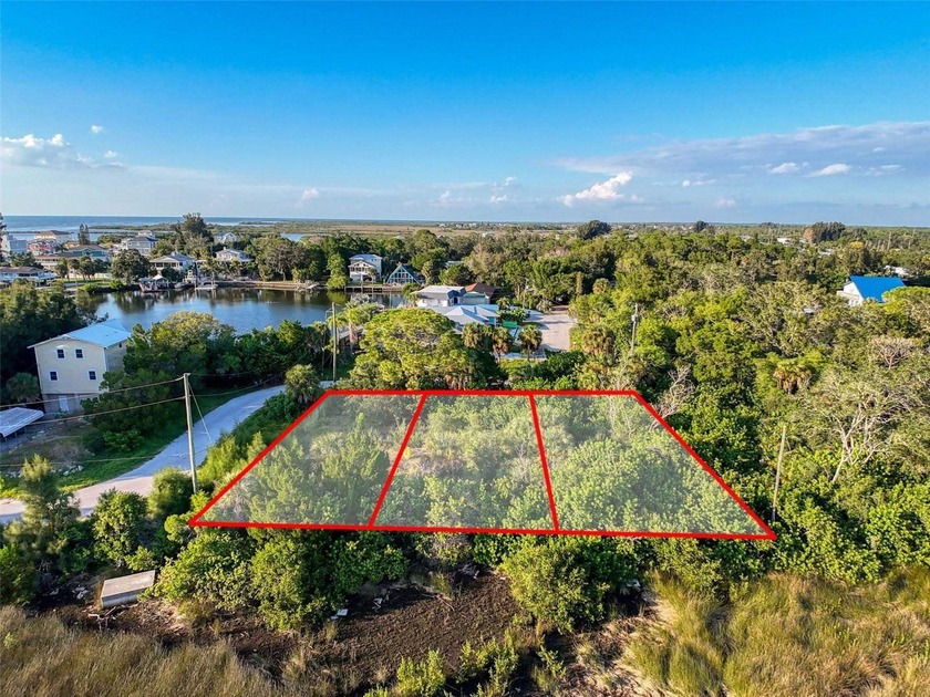Bring your vision to life on this undeveloped lot in the - photo 6