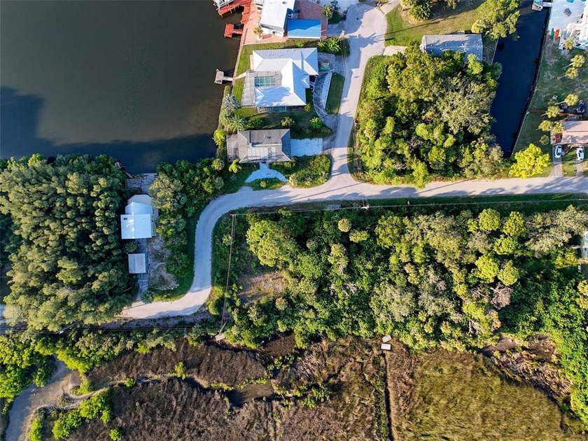Bring your vision to life on this undeveloped lot in the - photo 9