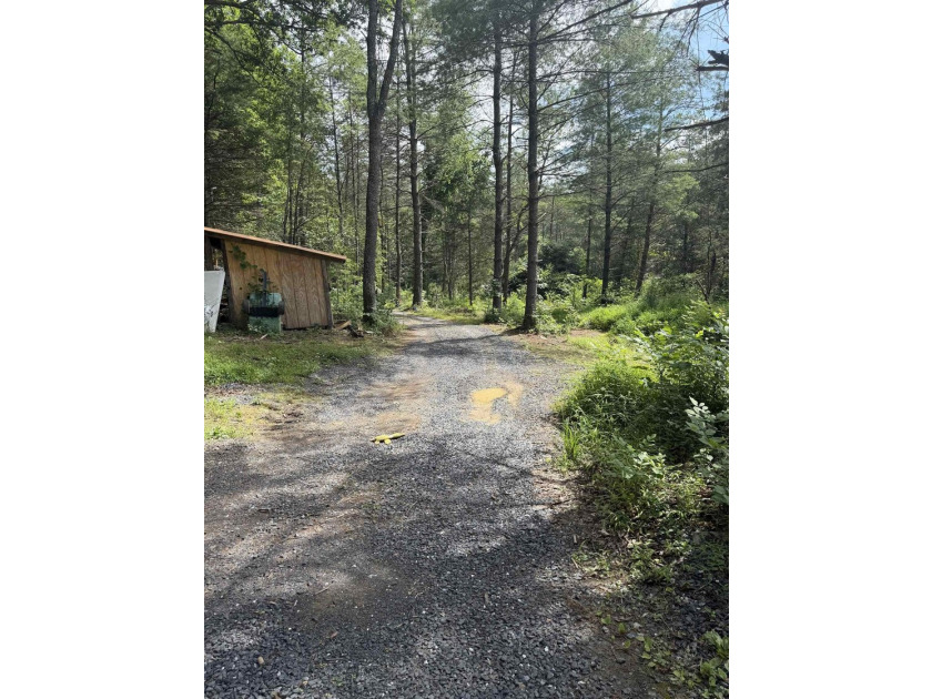 Recreational Base Camp !! 7.62 acres located in Millboro Springs - photo 8