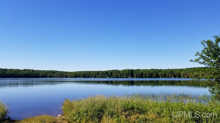 3.6-acre lot with over 800 feet of frontage on Wildwood Lake! A - photo 3