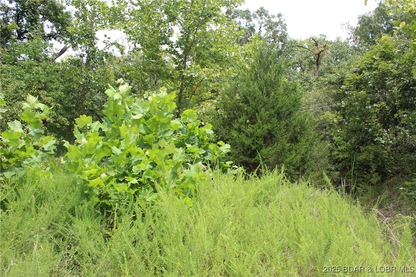 Build Your Dream Home in Woodhaven Estates! Don't miss this - photo 3