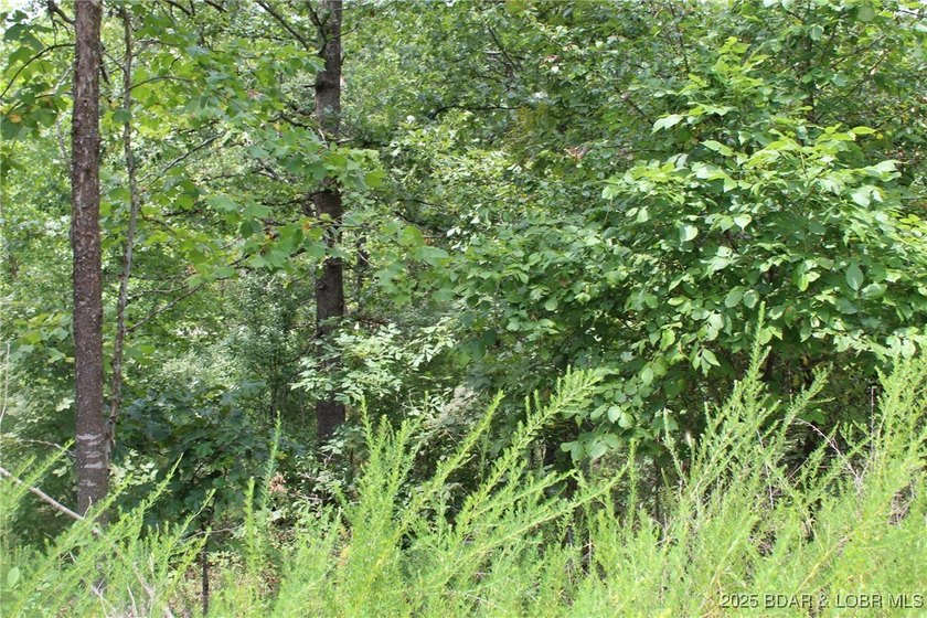 Build Your Dream Home in Woodhaven Estates! Don't miss this - photo 6