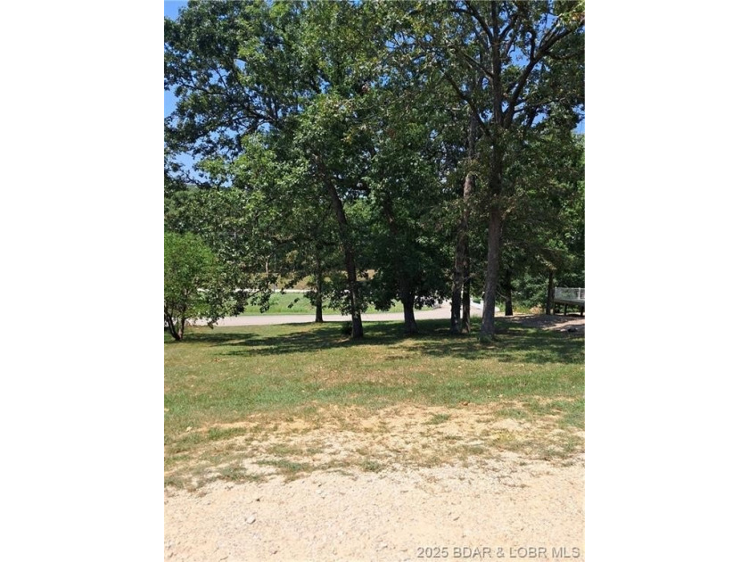 Build your future in Woodhaven Estates, one of Laurie's - photo 2