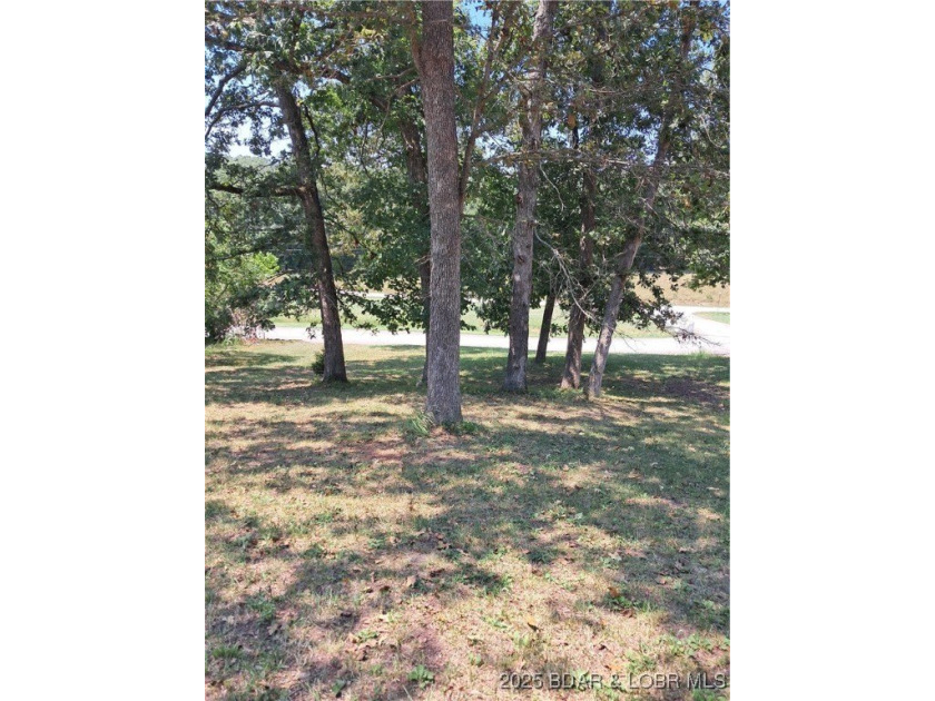 Build your future in Woodhaven Estates, one of Laurie's - photo 3