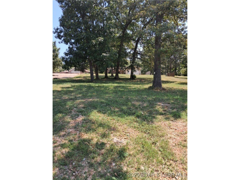 Build your future in Woodhaven Estates, one of Laurie's - photo 8
