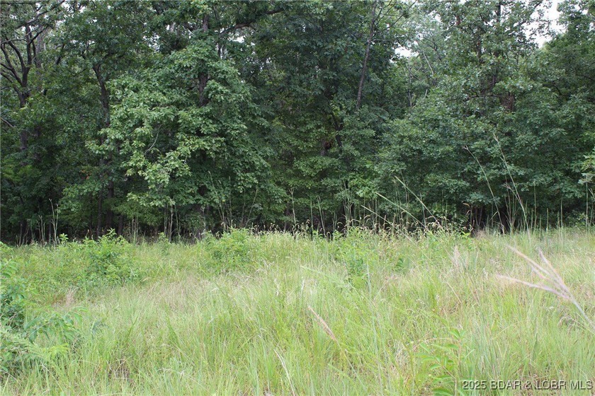 This spacious lot in the desirable Woodhaven Estates subdivision - photo 4