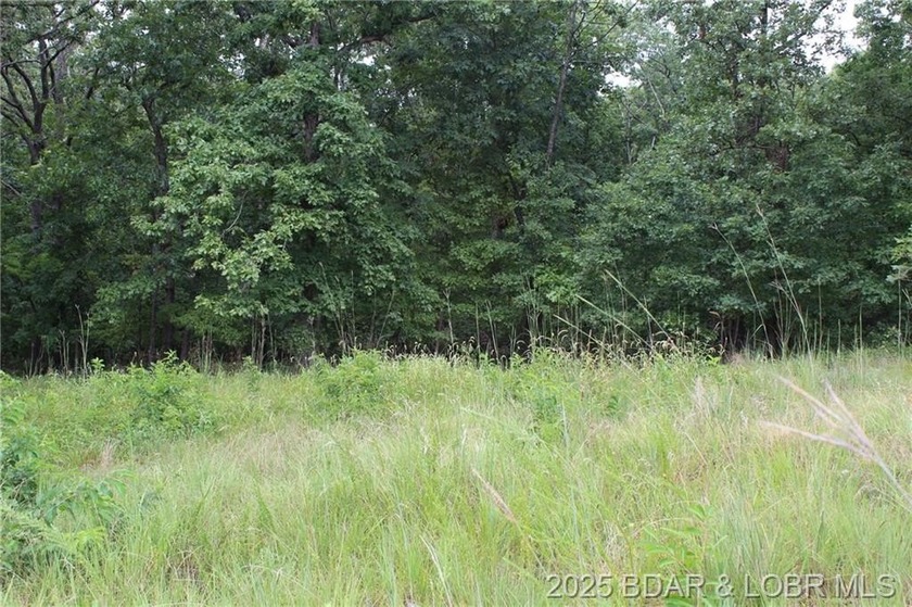 This spacious lot in the desirable Woodhaven Estates subdivision - photo 4