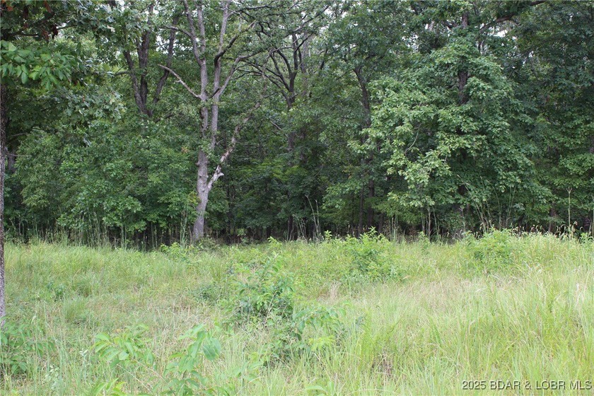 This spacious lot in the desirable Woodhaven Estates subdivision - photo 5