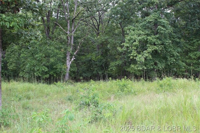 This spacious lot in the desirable Woodhaven Estates subdivision - photo 5