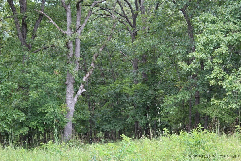 This spacious lot in the desirable Woodhaven Estates subdivision - photo 6