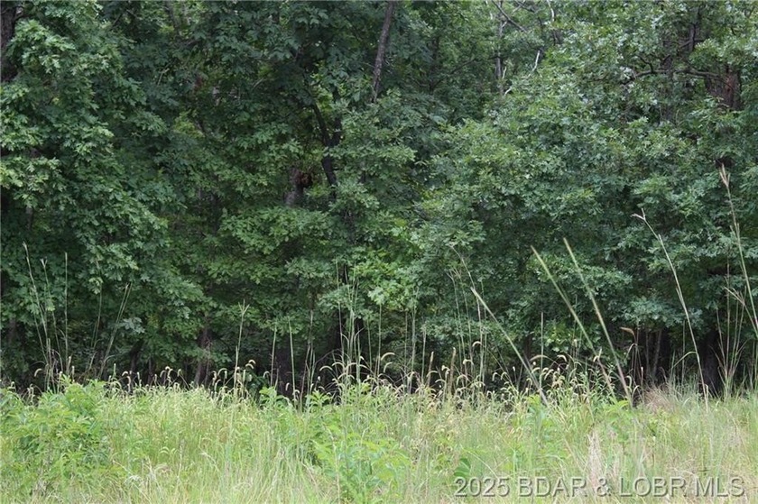 This spacious lot in the desirable Woodhaven Estates subdivision - photo 7