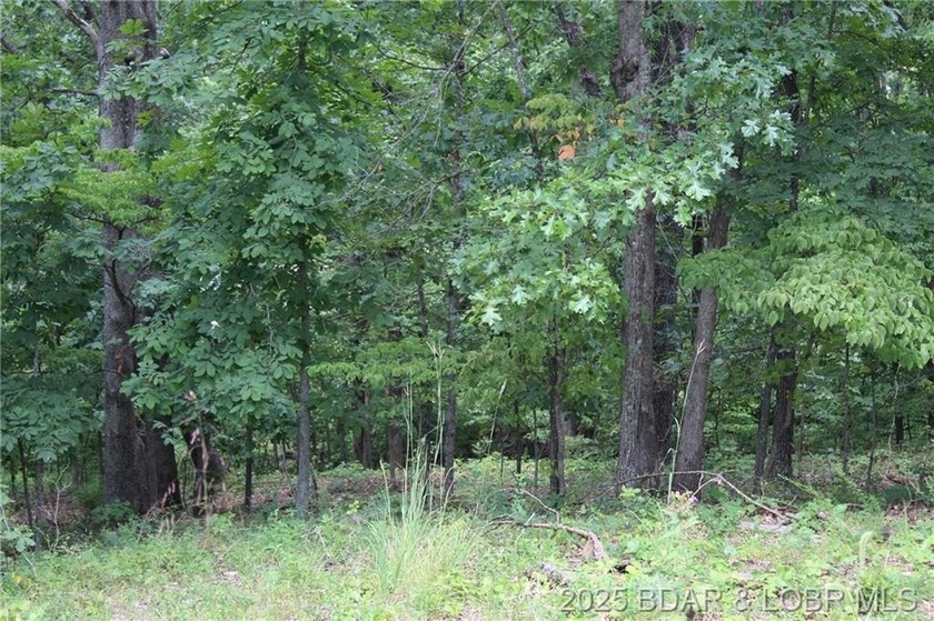 This spacious lot in the desirable Woodhaven Estates subdivision - photo 8