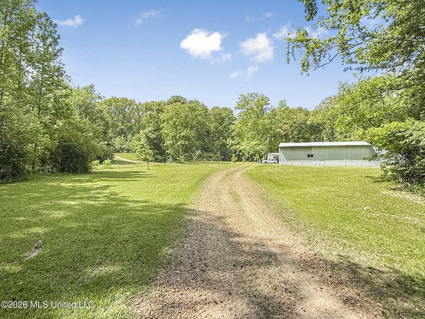 25 acres of rolling hills land available for sale near Terry, MS - photo 28