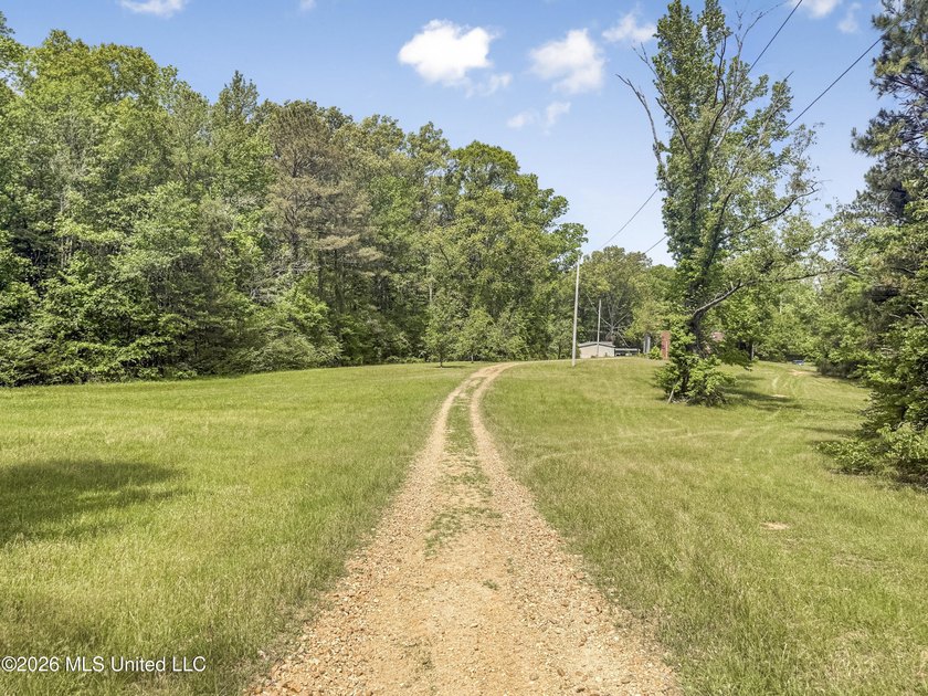 25 acres of rolling hills land available for sale near Terry, MS - photo 49