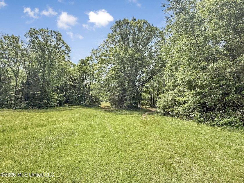 25 acres of rolling hills land available for sale near Terry, MS - photo 50
