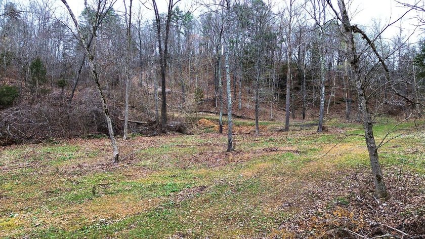 Hunting paradise with county road frontage! This incredible - photo 2