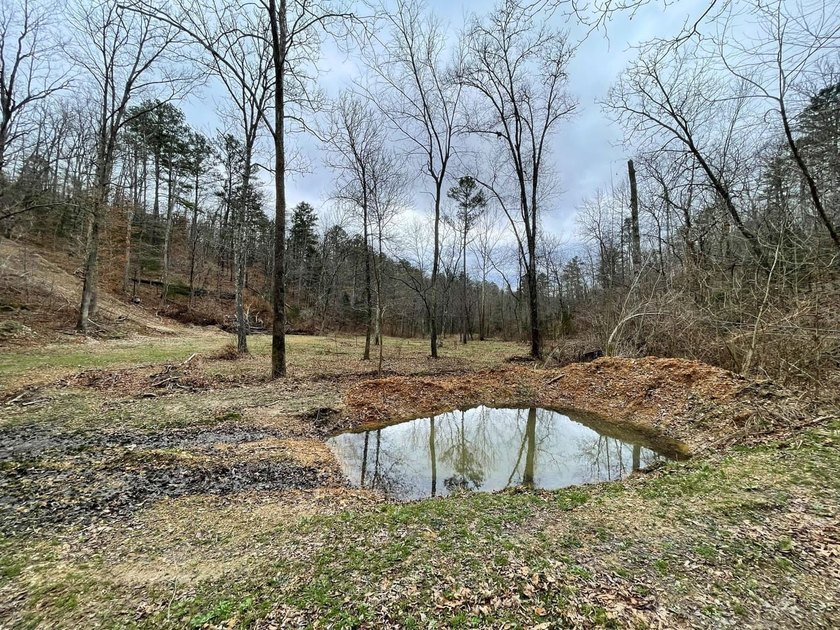 Hunting paradise with county road frontage! This incredible - photo 7