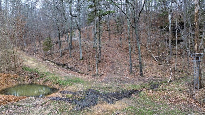 Hunting paradise with county road frontage! This incredible - photo 9