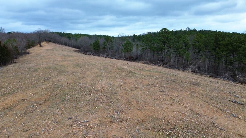 Hunting paradise with county road frontage! This incredible - photo 10