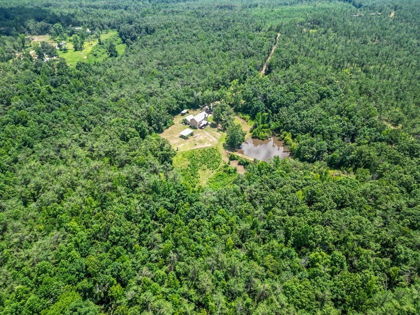 Exceptional opportunity to own a private 66 acre estate just - photo 34