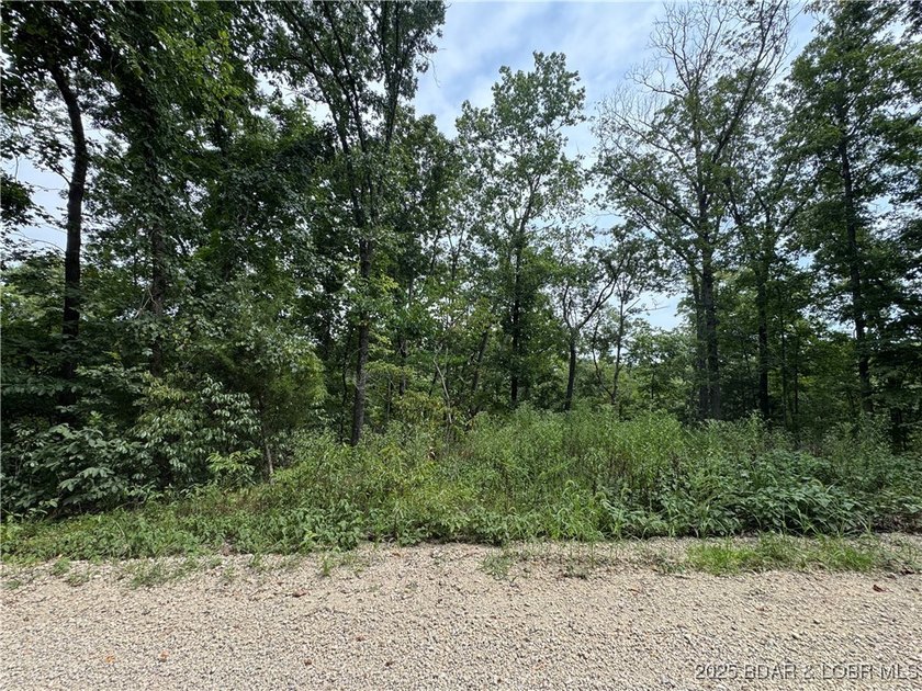6.94 acres of wooded land just minutes from Laurie, Sunrise - photo 2