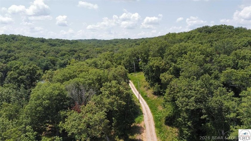 This is a hard one to find, so don't wait! 27+/- acres of - photo 16
