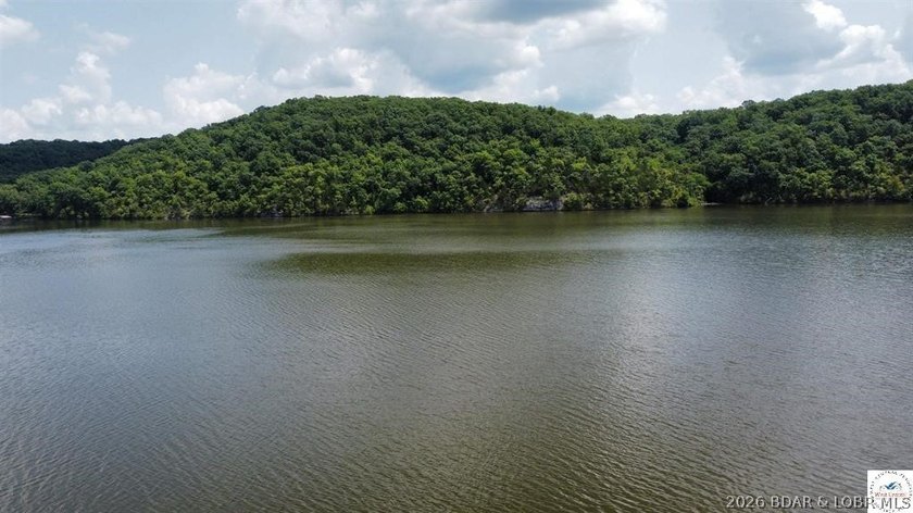 This is a hard one to find, so don't wait! 27+/- acres of - photo 17