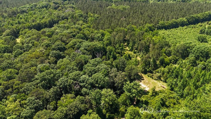 This 96+/--acre tract in Simpson County offers river frontage - photo 11