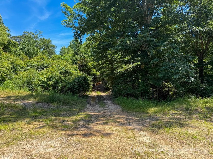 This 96+/--acre tract in Simpson County offers river frontage - photo 12