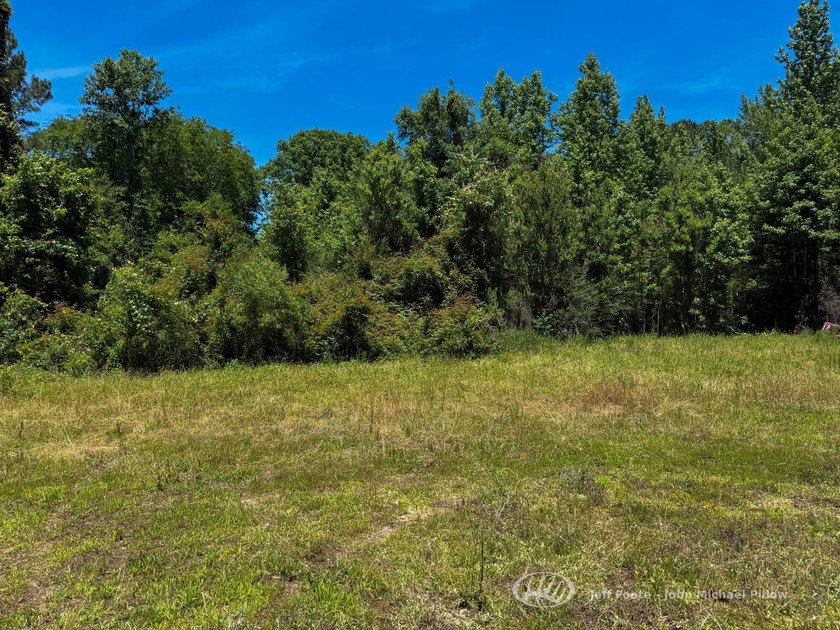 This 96+/--acre tract in Simpson County offers river frontage - photo 13