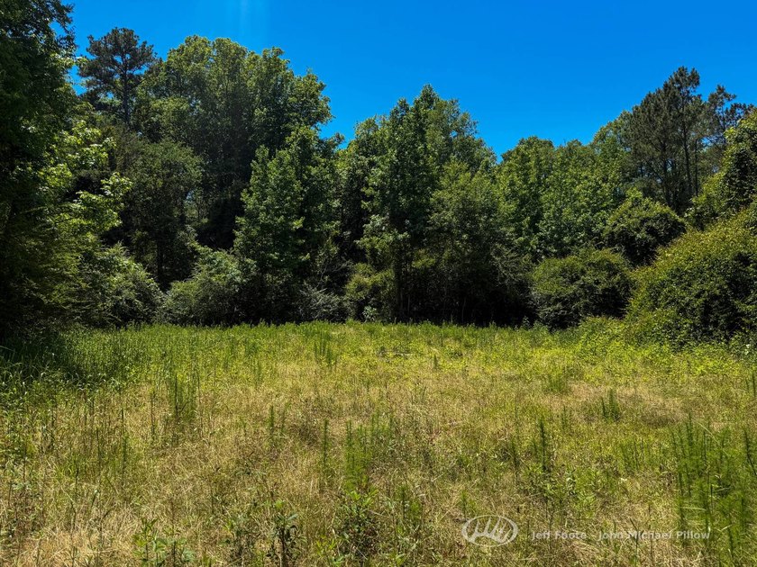 This 96+/--acre tract in Simpson County offers river frontage - photo 17