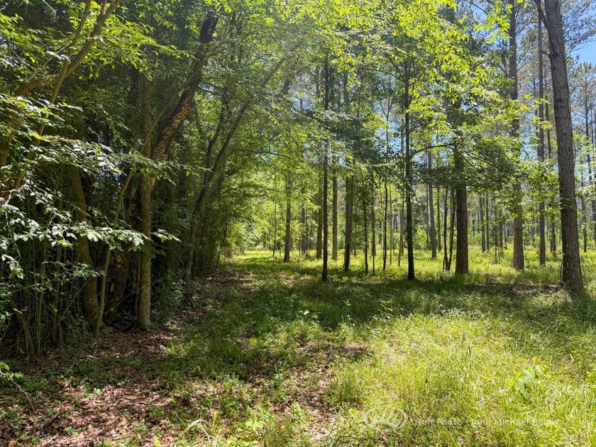 This 96+/--acre tract in Simpson County offers river frontage - photo 19