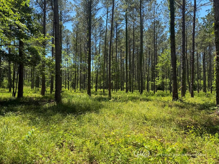 This 96+/--acre tract in Simpson County offers river frontage - photo 21