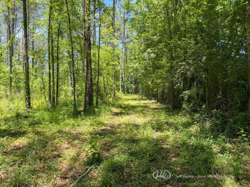 This 96+/--acre tract in Simpson County offers river frontage - photo 22