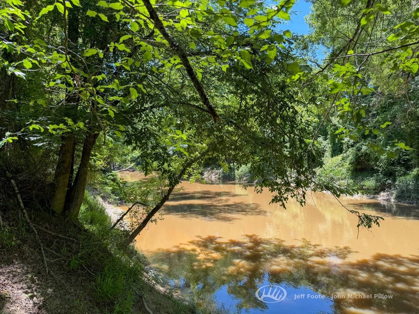 This 96+/--acre tract in Simpson County offers river frontage - photo 26