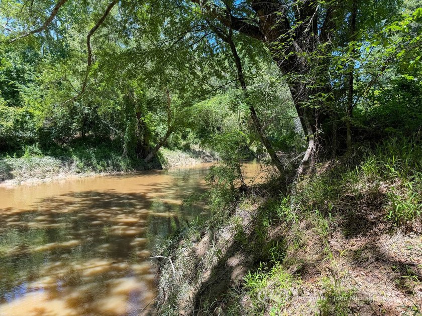 This 96+/--acre tract in Simpson County offers river frontage - photo 28